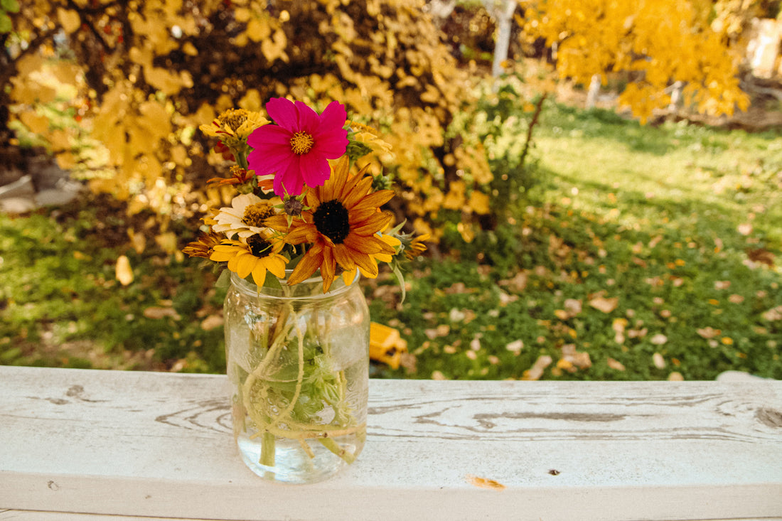 Easy Cut Flowers to grow on the Canadian Prairies