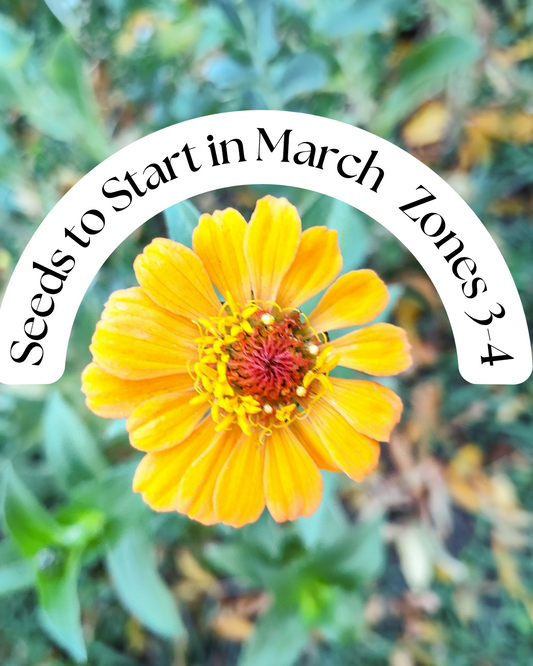 Seeds to Start in March for Zones 3-4 Canada and the Canadian Prairies